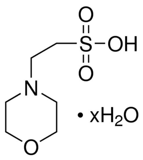 图片 MES水合物，MES hydrate；Vetec™, reagent grade, ≥99%