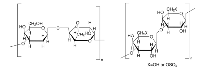 图片 琼脂粉，Agar；Type M, suitable for plant cell culture