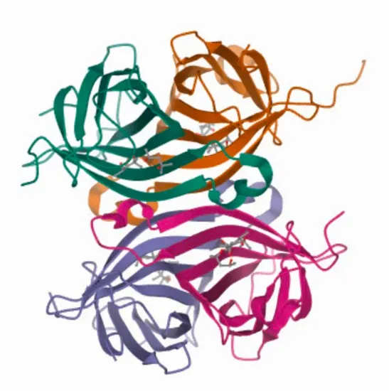 图片 链霉亲和素-琼脂糖来源于阿维丁链霉菌，Streptavidin−Agarose from Streptomyces avidinii；buffered aqueous suspension