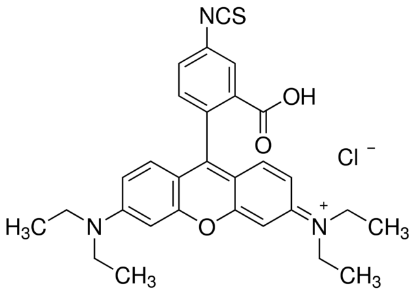 图片 罗丹明B异硫氰酸酯，Rhodamine B isothiocyanate [RBITC, RhBITC]；mixed isomers