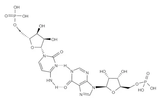 图片 聚肌苷酸-聚胞苷酸钠盐，Polyinosinic–polycytidylic acid sodium salt；γ-irradiated, ≥99%