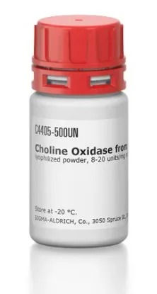 图片 胆碱氧化酶来源于球形节杆菌，Choline Oxidase from Arthrobacter globiformis；lyophilized powder, 8-20 units/mg solid