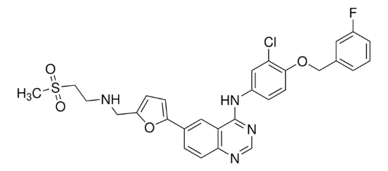 图片 拉帕替尼，Lapatinib；≥98% (HPLC)