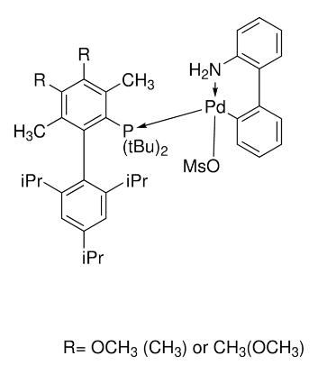 图片 Me3(OMe)tBuXPhos-Pd-G3，