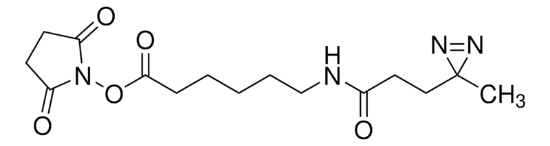 图片 NHS-LC-双吖丙啶)(琥珀酰亚胺基6-(4,4′-氮杂戊酰胺基)己酸酯，NHS-LC-Diazirine) (succinimidyl 6-(4,4′-azipentanamido)hexanoate [LC-SDA]；≥90%