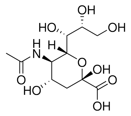 图片 N-乙酰神经氨酸，N-Acetylneuraminic acid [NAN, NANA, Neu5Ac]；analytical standard, ≥97.0% (HPLC)