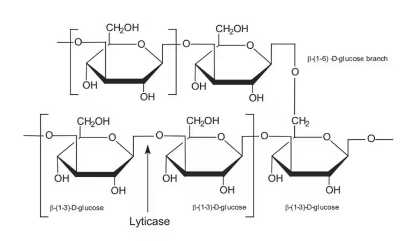 图片 β-葡聚糖来源于面包酵母(酿酒酵母)，Glucan from baker's yeast (S. cerevisiae)；≥98.0%