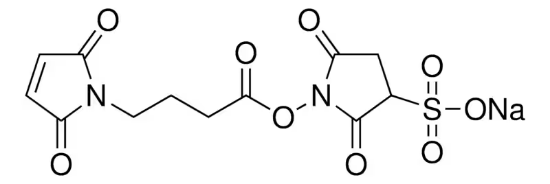 图片 磺基-N-琥珀酰亚胺基-4-马来酰亚胺丁酸酯钠盐，Sulfo-N-succinimidyl 4-maleimidobutyrate sodium salt [Sulfo-GMBS]；~90%