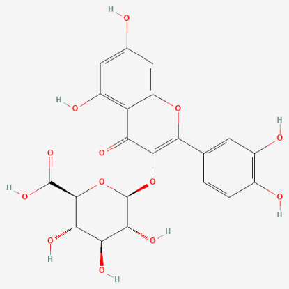 图片 槲皮素-3-葡萄糖醛酸苷，quercetin 3-O-glucuronide；≥98%