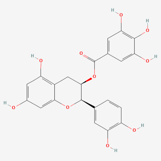 图片 表儿茶素没食子酸酯，(-)-Epicatechin gallate [ECG]；≥98%