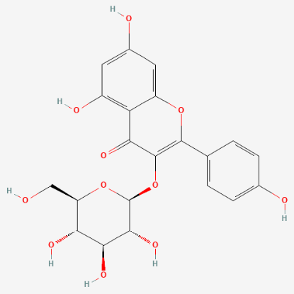 图片 紫云英苷，Astragalin；≥98%