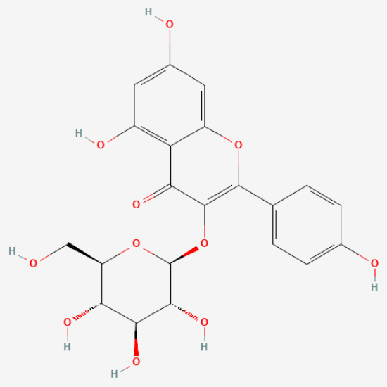 图片 紫云英苷，Astragalin；≥98%