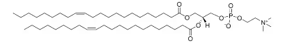 图片 1,2-二十二烷基-sn-甘油-3-磷酸胆碱，1,2-dierucoyl-sn-glycero-3-phosphocholine [DEPC]；>99%