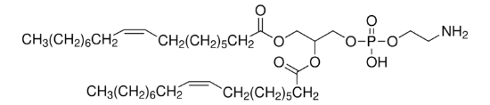 图片 1,2-二油酰基-sn-丙三基-3-磷酸乙醇胺，1,2-Dioleoyl-sn-glycero-3-phosphoethanolamine [DOPE]；≥99% (GC), ≥98% (TLC), lyophilized powder