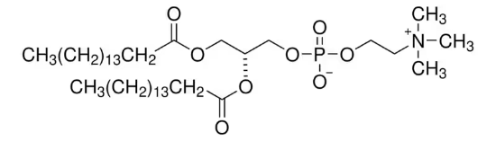 图片 1,2-二棕榈酰-sn-甘油-3-磷酰胆碱，1,2-Dipalmitoyl-sn-glycero-3-phosphocholine [16:0 PC (DPPC)]；semisynthetic, ≥99%