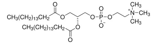图片 1,2-二棕榈酰-sn-甘油-3-磷酰胆碱，1,2-Dipalmitoyl-sn-glycero-3-phosphocholine [16:0 PC (DPPC)]；≥99% (TLC)
