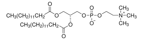 图片 1,2-二肉豆蔻酰基-sn-甘油-3-磷酸胆碱，1,2-Dimyristoyl-sn-glycero-3-phosphocholine [14:0 PC (DMPC)]；≥99%