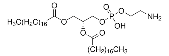 图片 1,2-二硬脂酰-sn-甘油基-3-磷酸乙醇胺，1,2-Distearoyl-sn-glycero-3-phosphoethanolamine [18:0 PE, DPPE, DSPE]；≥99%