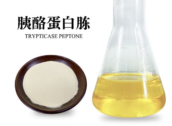 图片 胰酪蛋白胨，Pancreatic casein peptone