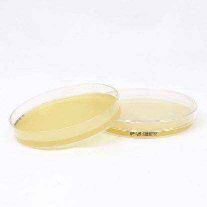 图片 平板计数琼脂，Plate count agar