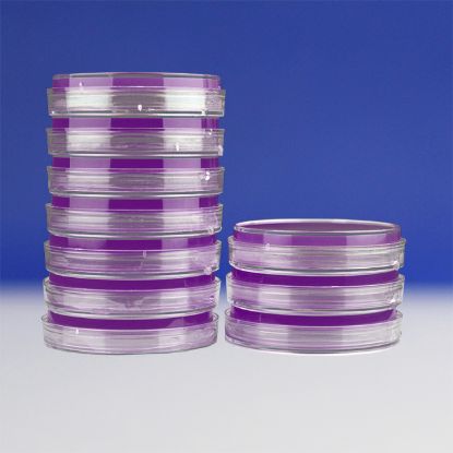 图片 结晶紫中性红胆盐琼脂 [VRBA]，Crystal violet-Neutral red-Bile salt-Agar