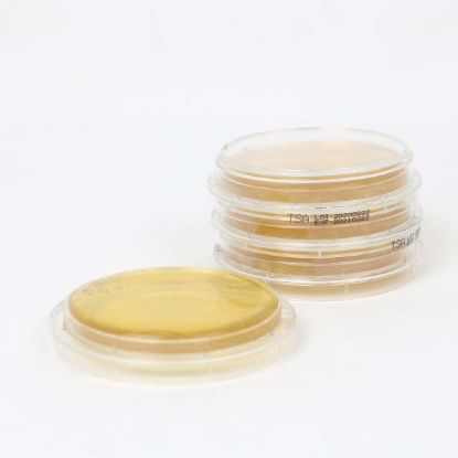 图片 胰蛋白胨大豆琼脂，Tryptone (Tryptic) Soy Agar [TSA]