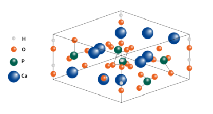 图片 羟基磷灰石介质-复合模式刚性填料，Hydroxyapatite [CHT I, CHT II]