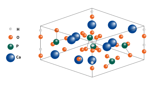 图片 羟基磷灰石介质-复合模式刚性填料，Hydroxyapatite [CHT I, CHT II]