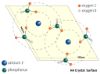 图片 羟基磷灰石介质-复合模式刚性填料，Hydroxyapatite [CHT I, CHT II]