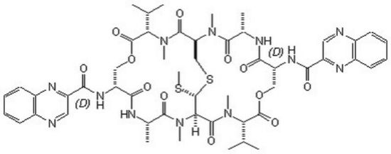 图片 棘霉素HIF-1α抑制剂，Echinomycin Streptomyces sp.；≥98% (HPLC)