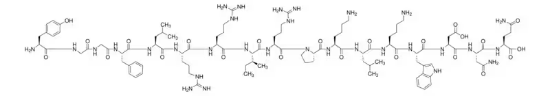 图片 猪强啡肽A，Dynorphin A porcine；≥95% (HPLC)