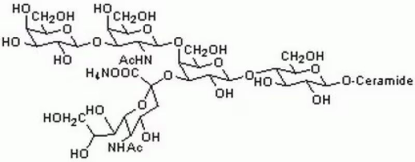 图片 神经节苷脂GM1来源于牛脑，Monosialoganglioside GM1 from bovine brain；lyophilized powder, BioXtra, γ-irradiated, ≥95% (TLC)