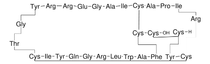 图片 防御素HNP-2来源于人，Defensin HNP-2 human；≥95% (HPLC)