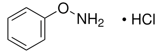 图片 O-苯基羟胺盐酸盐，O-Phenylhydroxylamine hydrochloride [Phe-HA]；≥97.0% (AT)