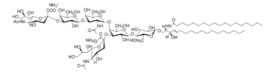 图片 神经节苷脂GD1a，Ganglioside GD1a；≥99% (TLC)