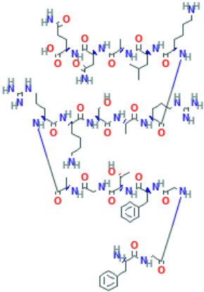 图片 孤菲肽，Nociceptin；≥98% (HPLC)