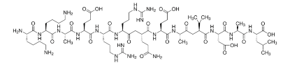 图片 Autocamtide 2-相关抑制肽，Autocamtide 2-related inhibitory peptide [AIP]；≥97% (HPLC), lyophilized powder